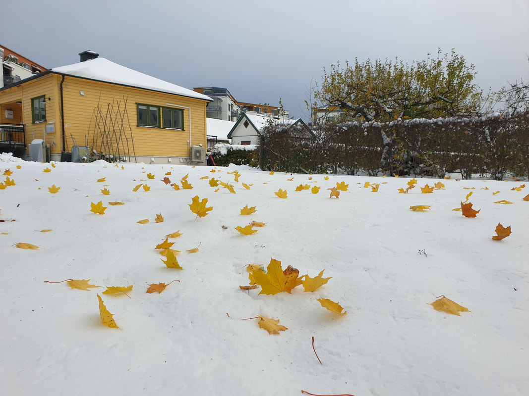 Illustrasjonsbilde av Høst/vinter