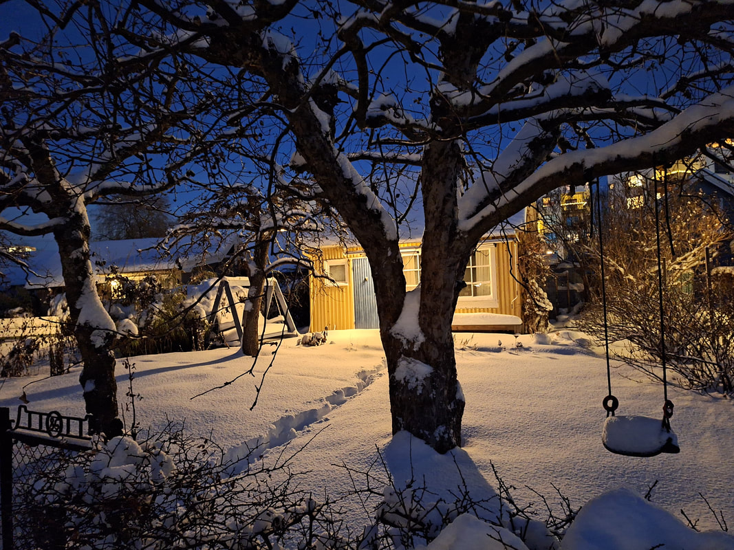 Illustrasjonsbilde av vinter