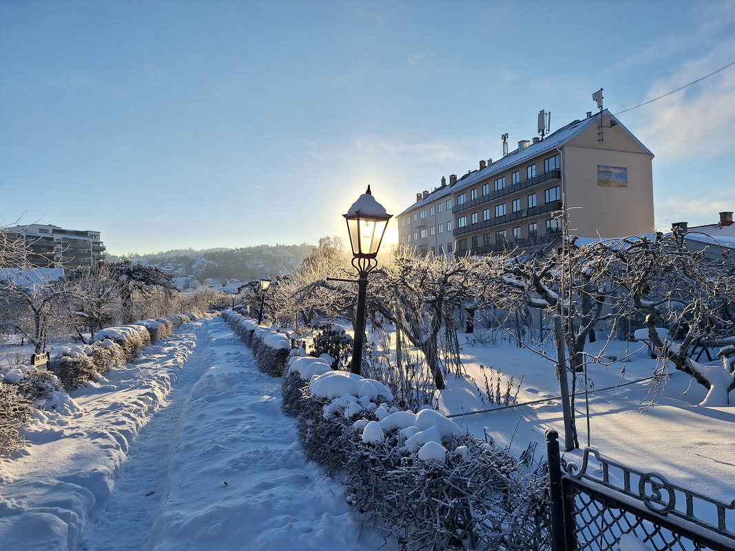 Illustrasjonsbilde av vinter