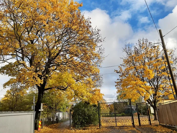 Hageporten høst Foto Ciel Udbjørg