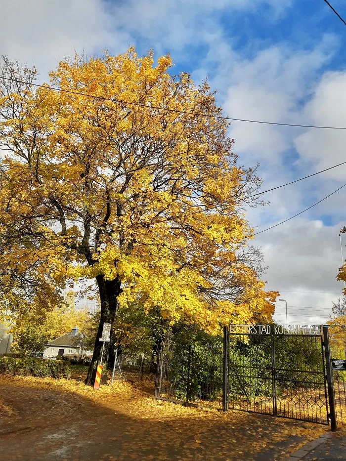 Hageporten høst Foto Ciel Udbjørg